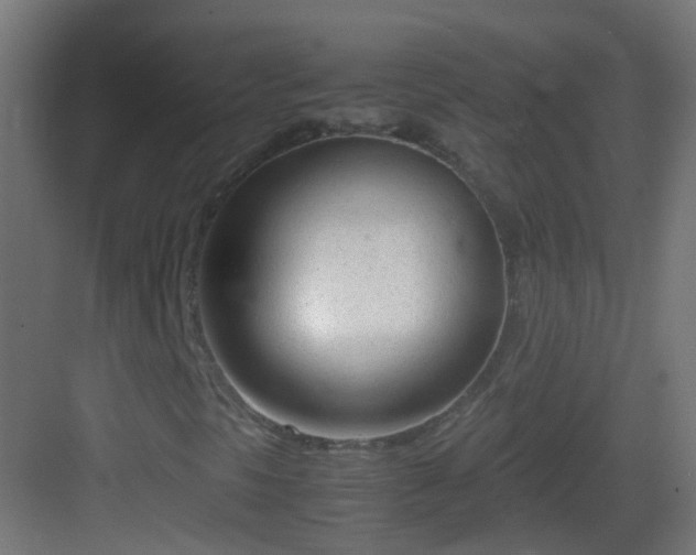 X0000083011297200702091240