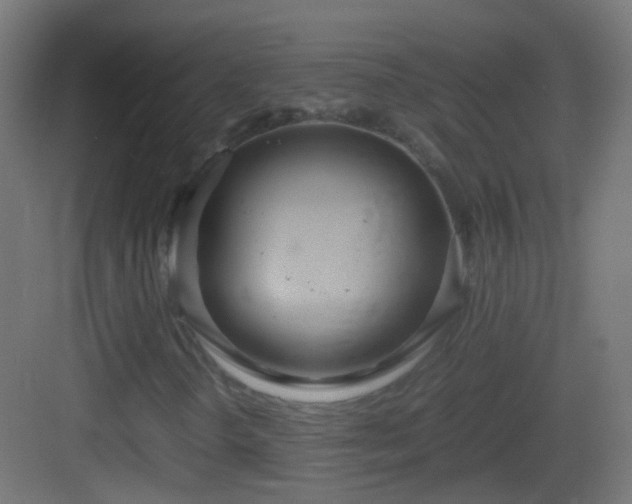 X0000083011298200702091240