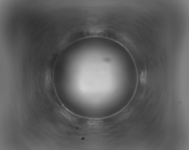 X0000083011299200702091240