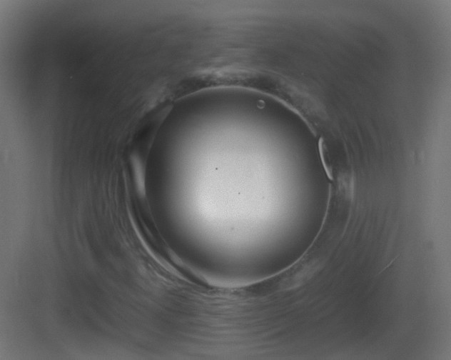 X0000083011300200702091240