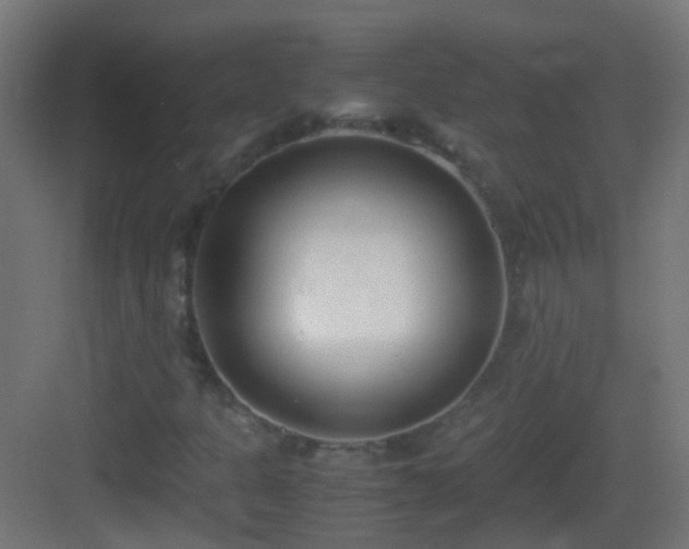 X0000083011301200702091240