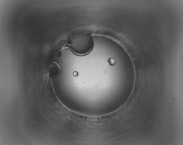 X0000083011302200702091240