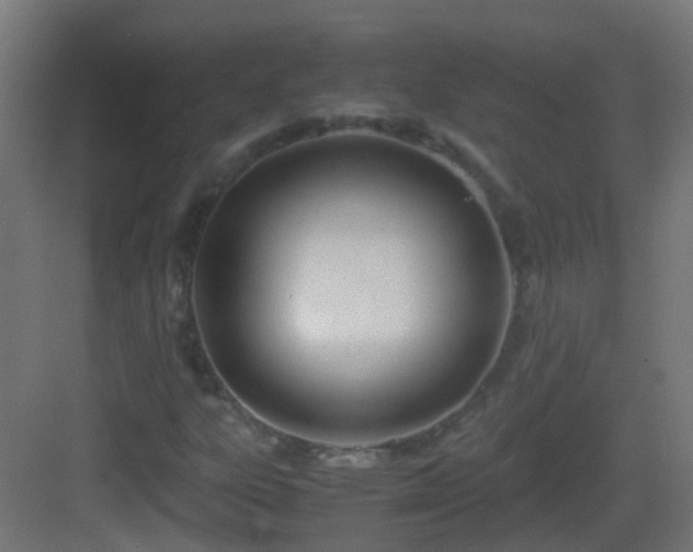 X0000083011303200702091240