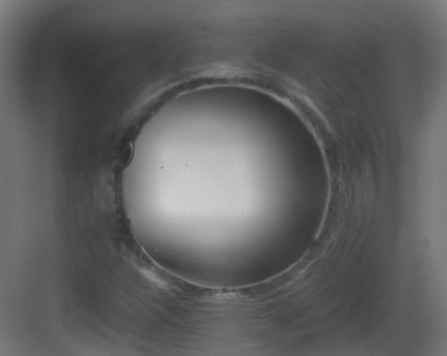 X0000083011304200702091240