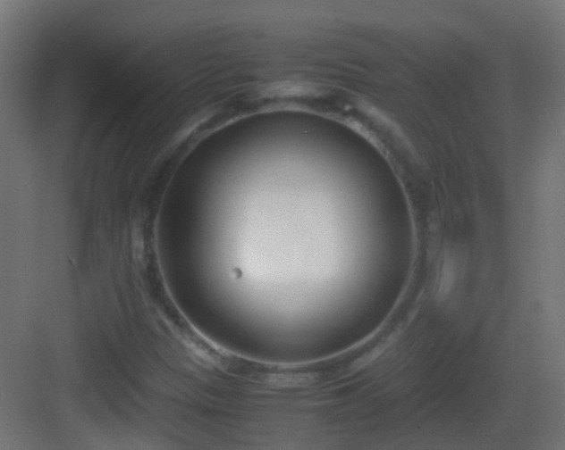 X0000083011305200702091240