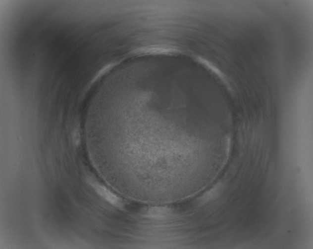 X0000083011306200702091240