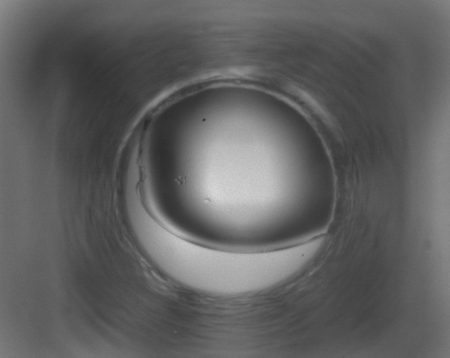 X0000083011308200702091240