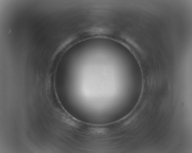 X0000083011309200702091240