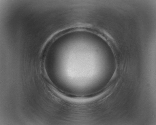 X0000083011310200702091240