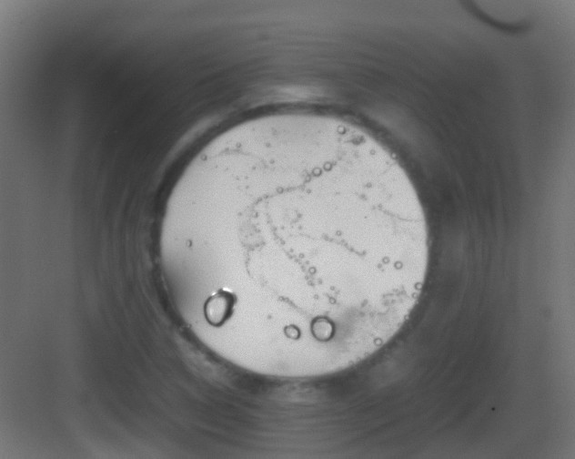 X0000083011314200702091240