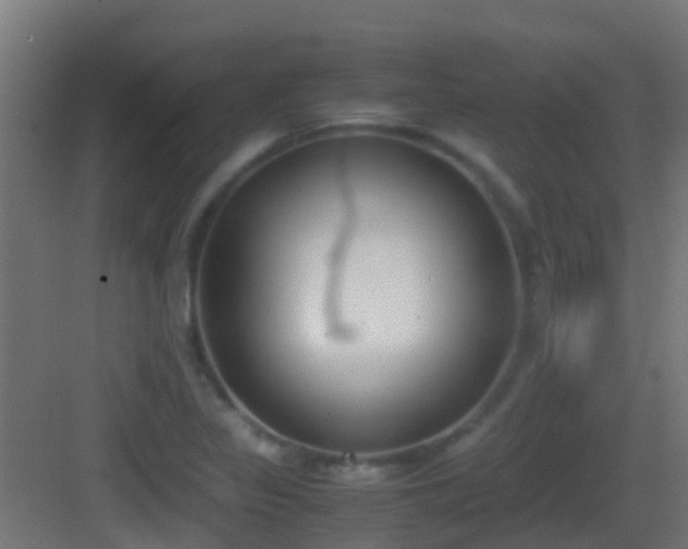 X0000083011317200702091240