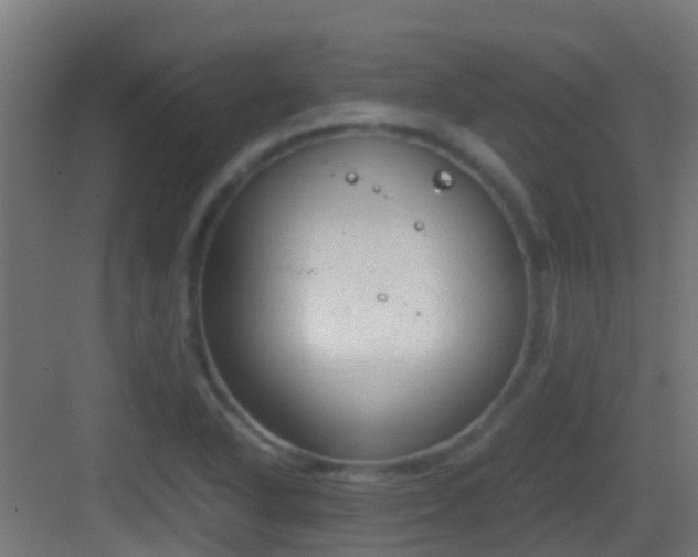 X0000083011318200702091240