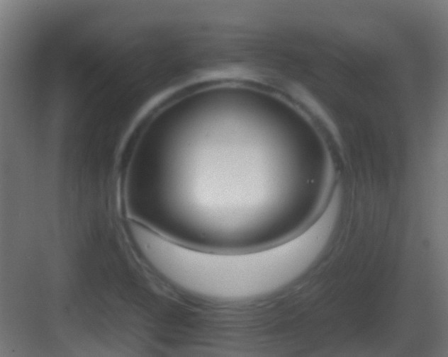 X0000083011320200702091240