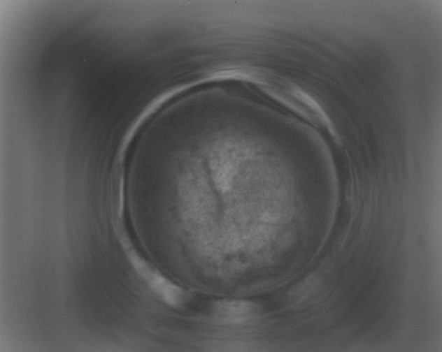 X0000083011323200702091240