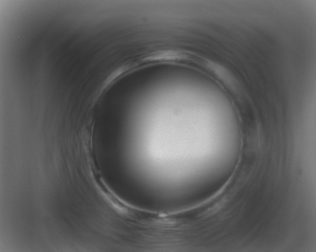 X0000083011329200702091240