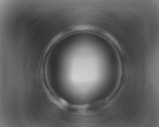 X0000083011330200702091240