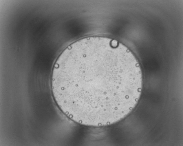 X0000083011338200702091241