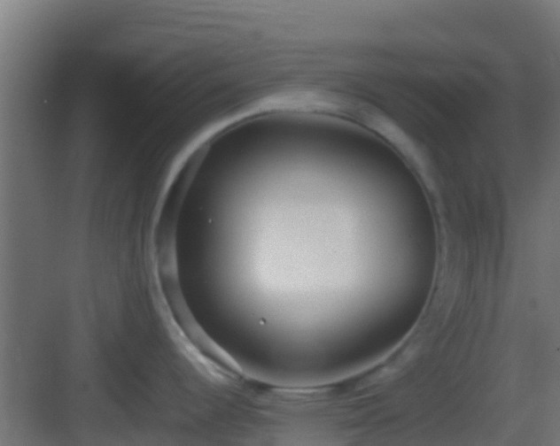 X0000083011344200702091241