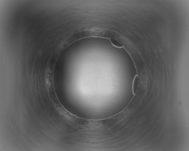 X0000083011346200702091240