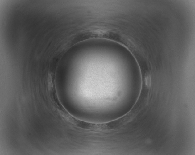 X0000083011347200702091240