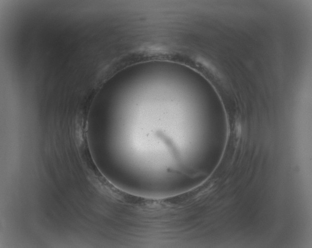 X0000083011348200702091240