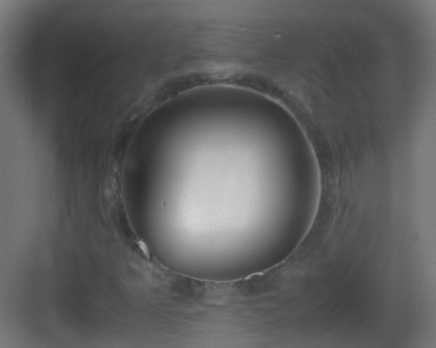 X0000083011349200702091240