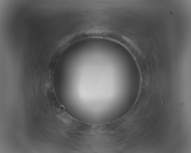 X0000083011350200702091240