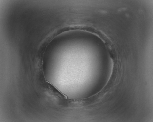 X0000083011351200702091240