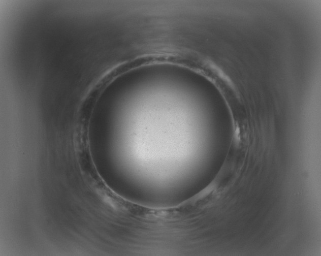 X0000083011352200702091240