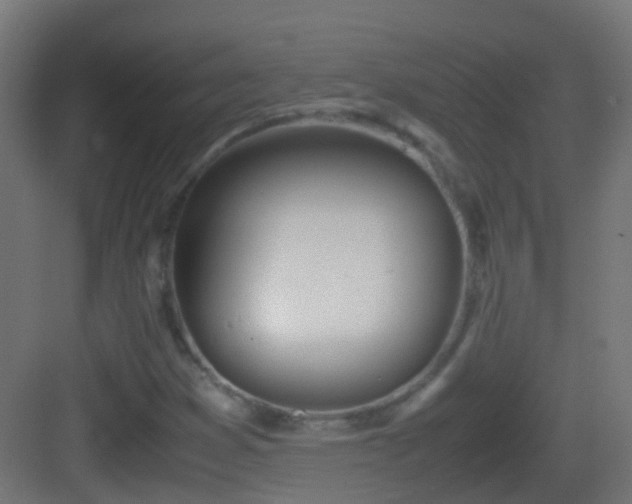 X0000083011353200702091240