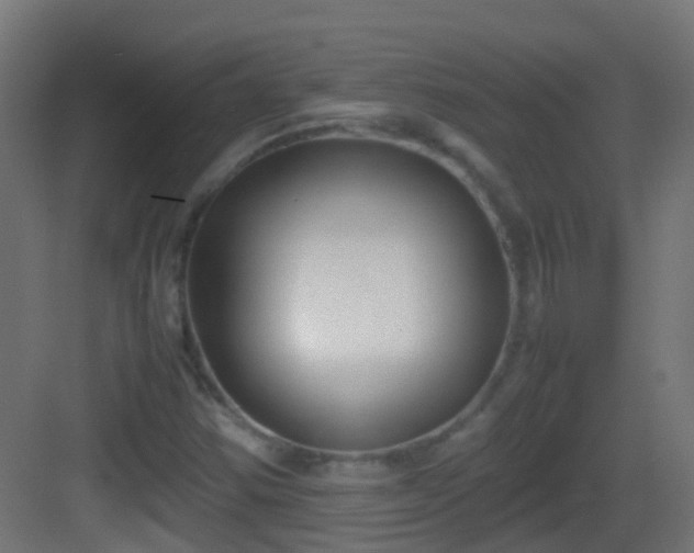 X0000083011354200702091240