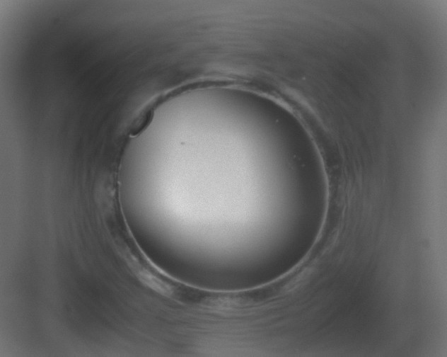 X0000083011355200702091240