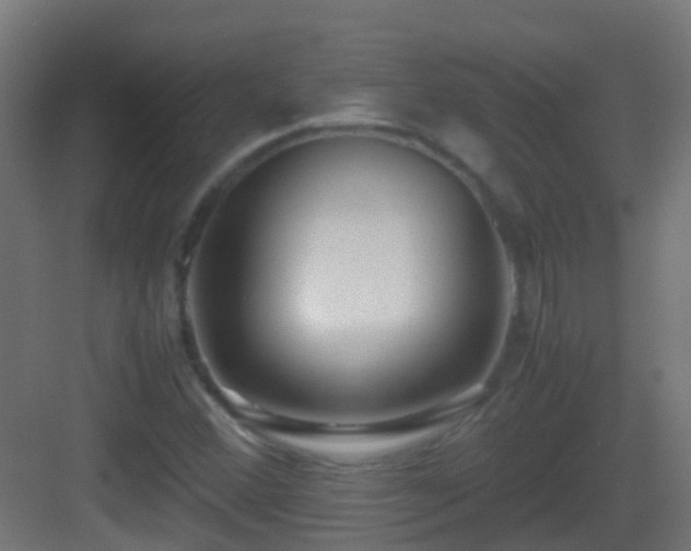 X0000083011356200702091240