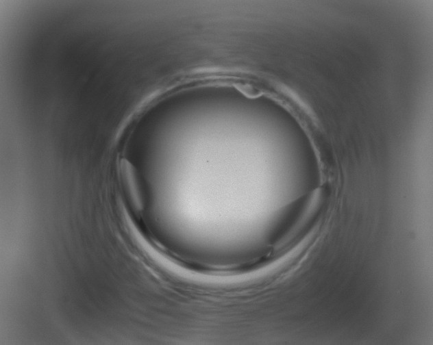 X0000083011357200702091240