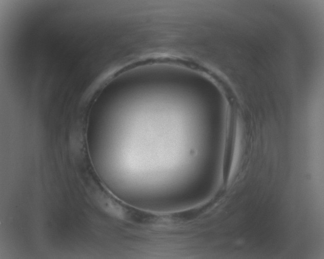 X0000083011359200702091240