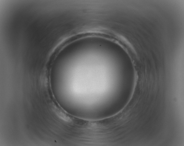 X0000083011360200702091240