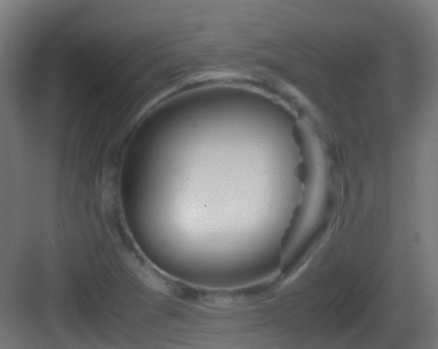 X0000083011361200702091240