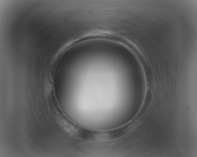 X0000083011363200702091240