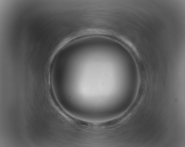 X0000083011365200702091240