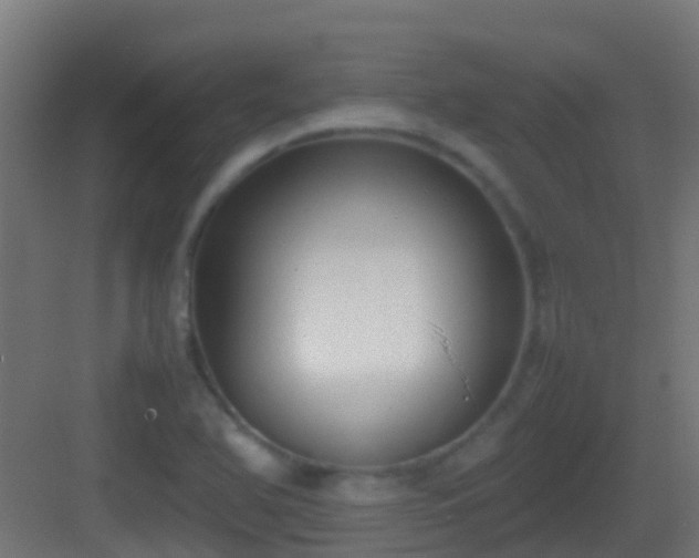 X0000083011366200702091240