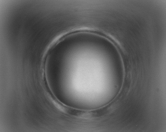 X0000083011367200702091240