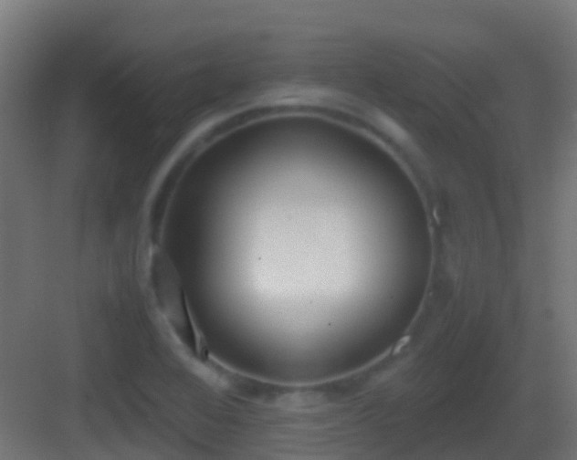 X0000083011368200702091240