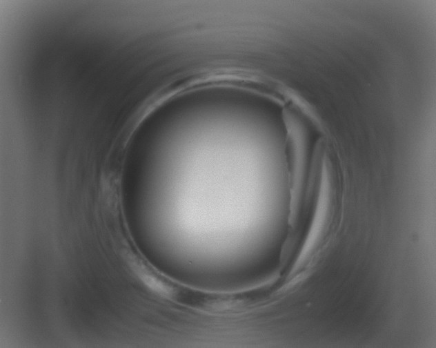 X0000083011369200702091240