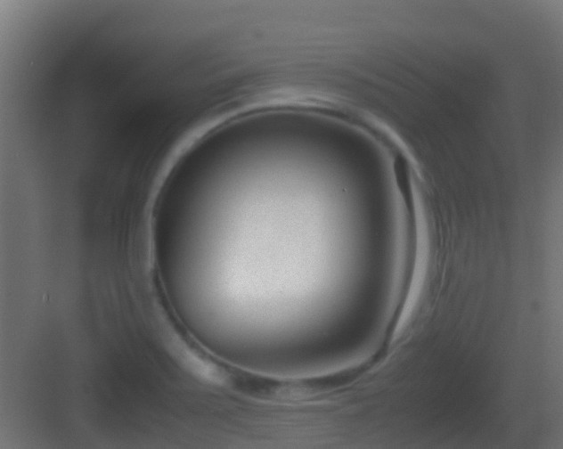 X0000083011371200702091239