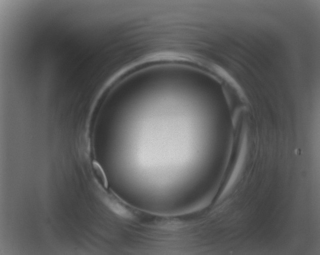 X0000083011372200702091239