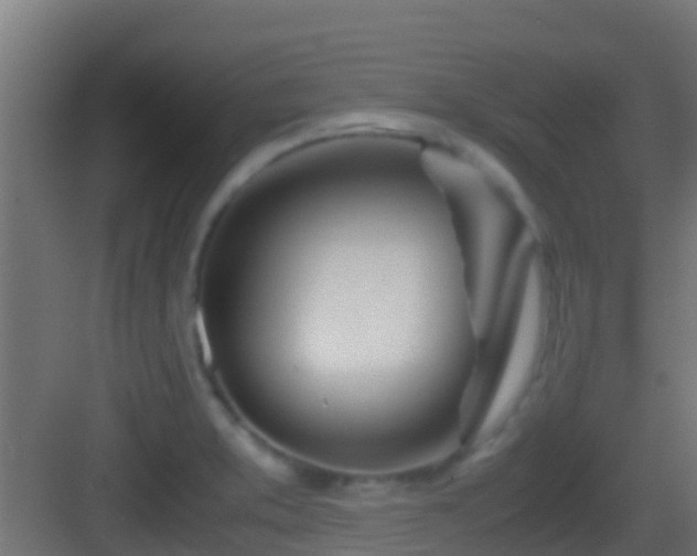 X0000083011373200702091239