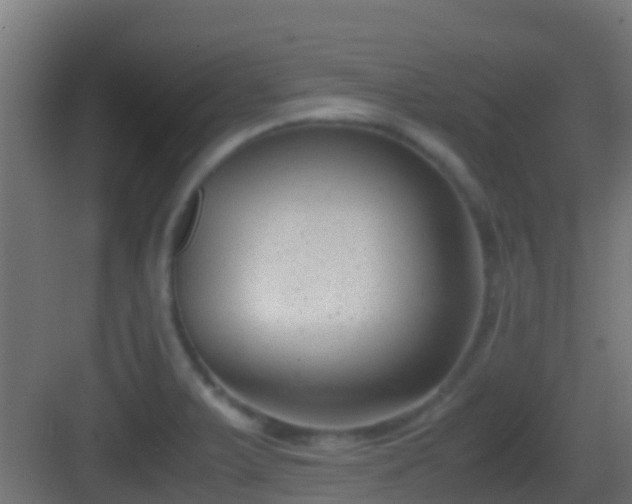 X0000083011375200702091239