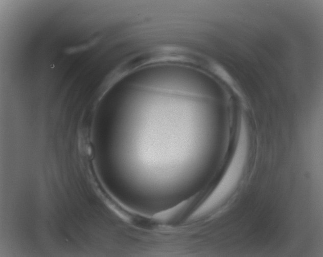 X0000083011377200702091239