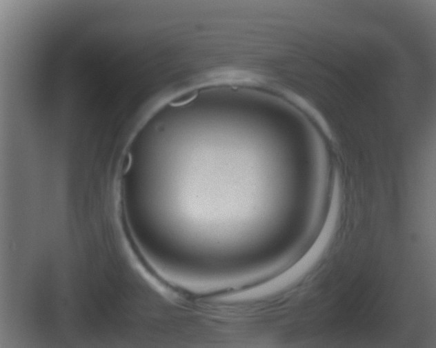 X0000083011383200702091239