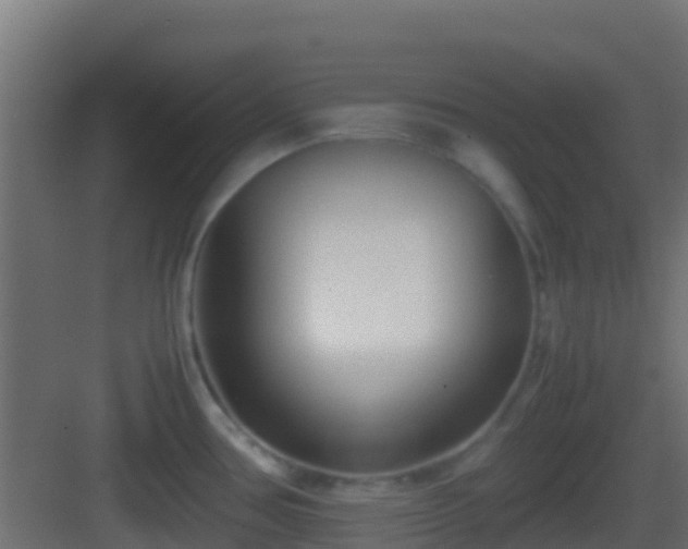 X0000083011386200702091239